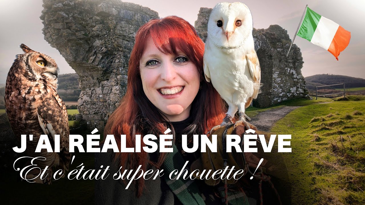 Fauconnerie en Irlande🦉 Chouettes & ruines mystérieuses ☘️🇮🇪