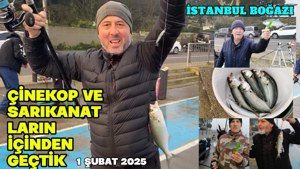 KURŞUN ARKASI ÇİNEKOP AVI . SÜPER BİR GÜN. Boylar iri tutacağa sığmıyor