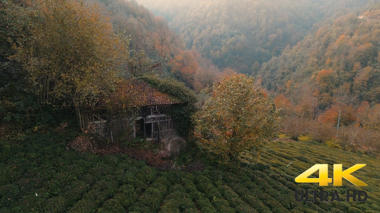 Trabzon/Of Taşhan Köyü Kukuliyoz 4K
