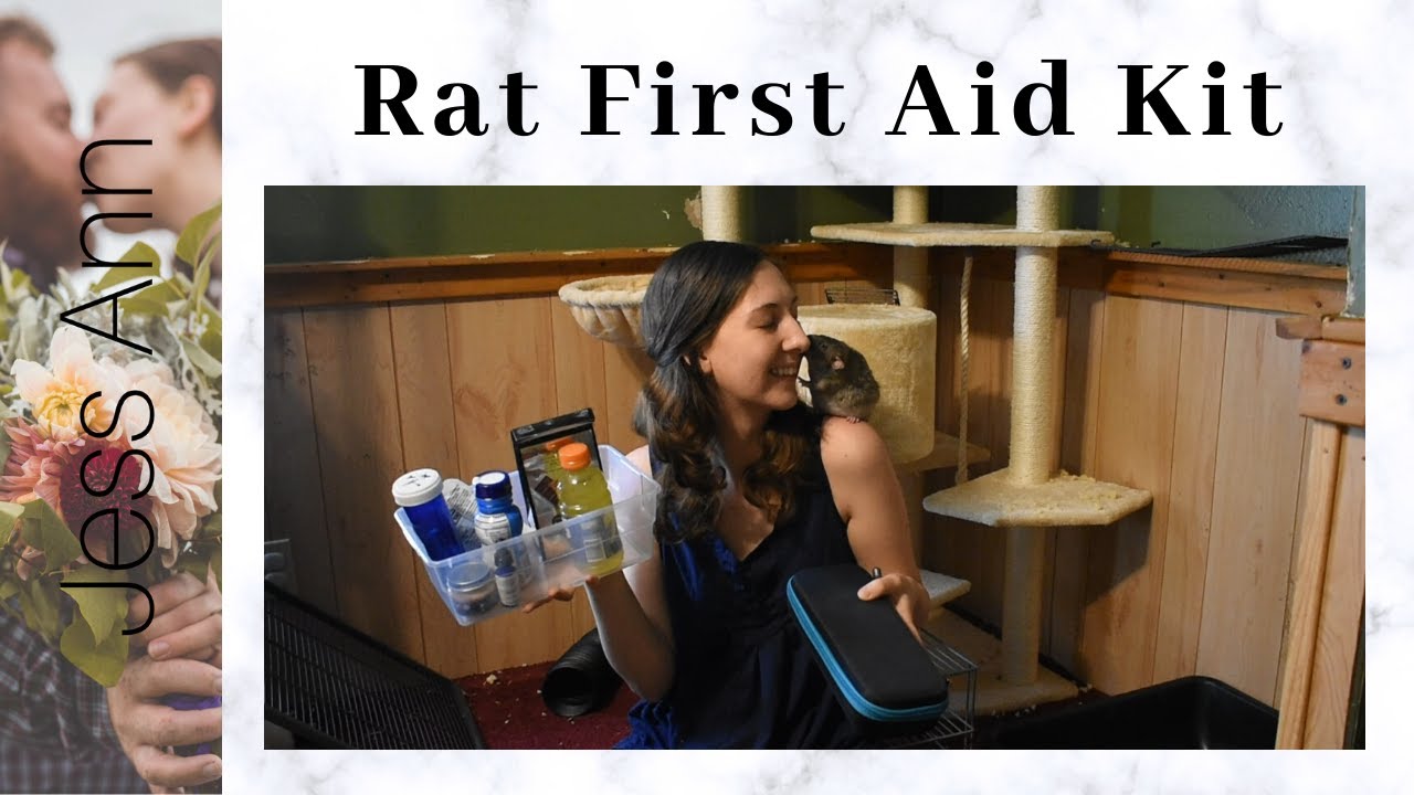 Pet Rat First Aid Kit | Medicine Kit | What I Keep On Hand For Pet Rats