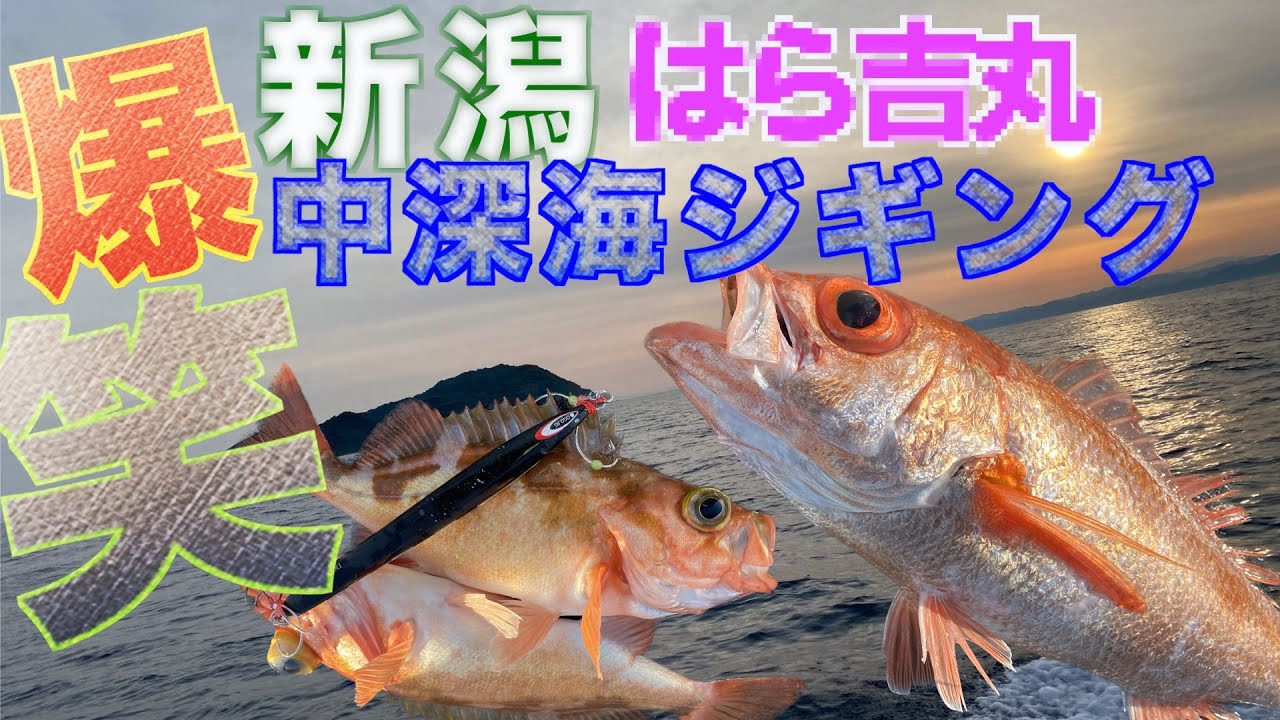 【大爆笑】中深海アカムツとメバル釣ったら笑いが止まらなくなった！新潟県村上市から粟島へ！