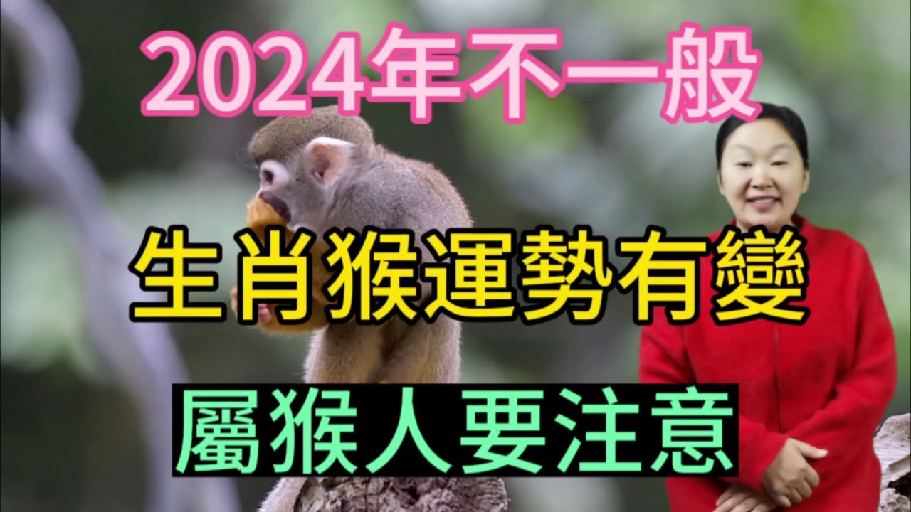 2024年很特殊！生肖猴運勢大變！屬猴人2024年運勢運程大揭秘！生肖猴2024年運勢解析！屬相猴必看！#生肖 #運勢 #佛教