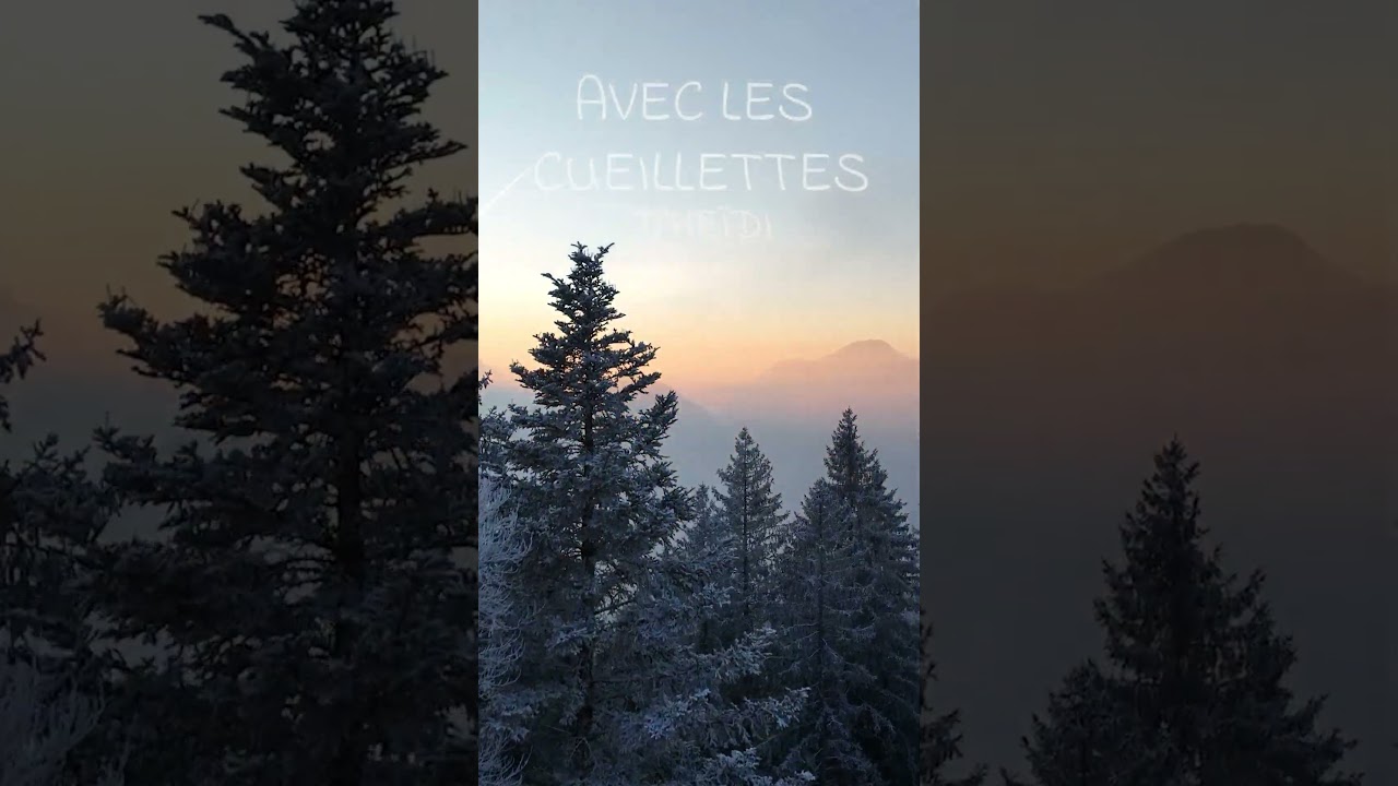 Bonne année 2026