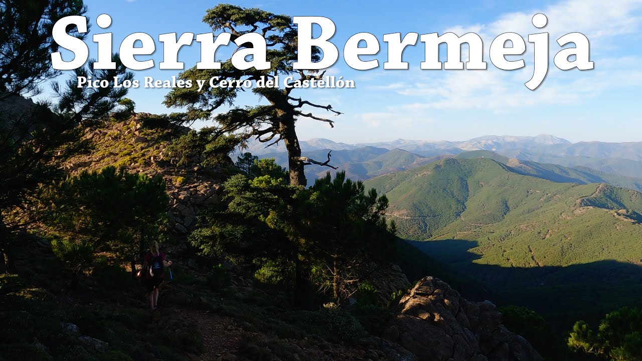 Sendero Pico Los Reales y Cerro del Castellón, Sierra Bermeja ¡Vive la Montaña! ¡Descubre Málaga!