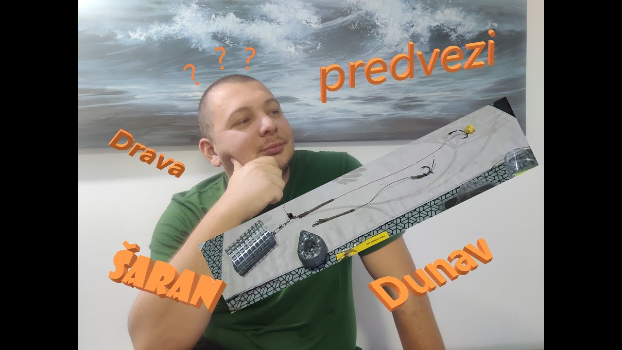 Sistem/predvez za šarana divlje vode Dunav/Drava