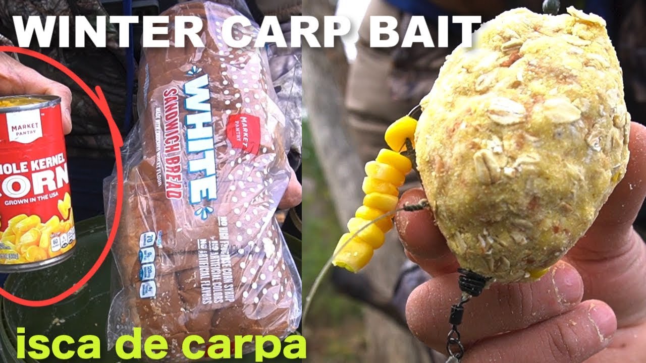 3 Carnadas para pescar CARPAS! , Cebos para pescar carpas