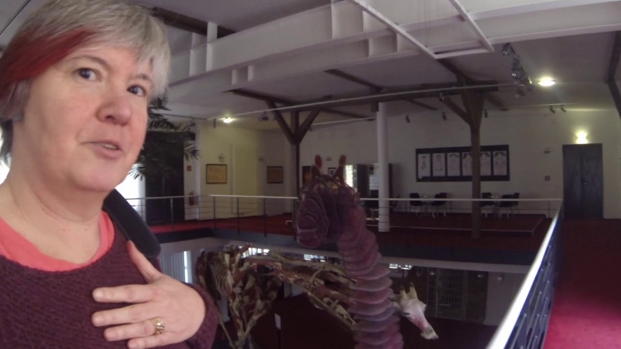 Tracey Mellor Video diary