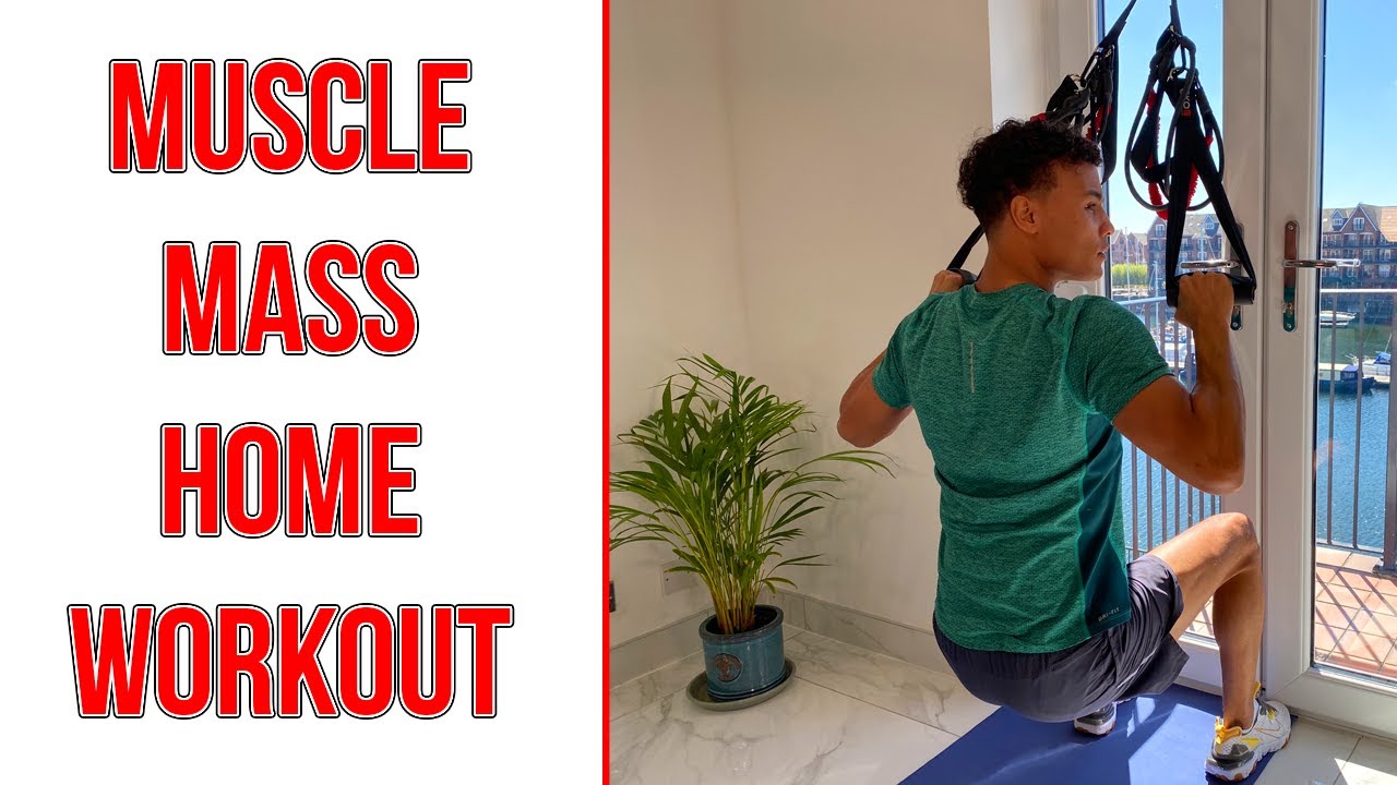 Upper Body Muscle Building Workout