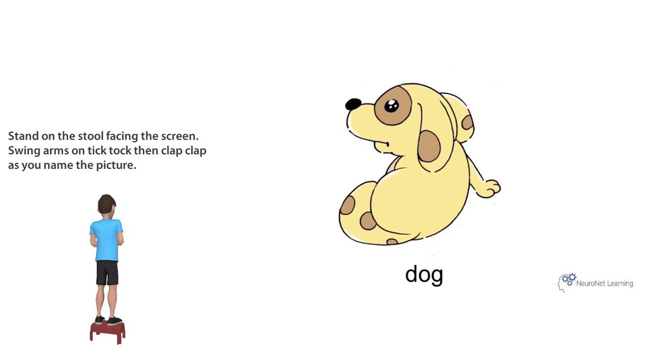 NeuroNet Learning Program 1 Overview