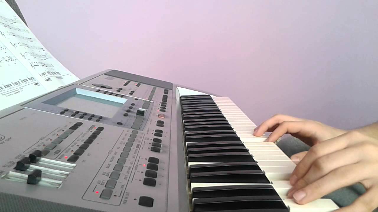 Czerwona jarzębina KORG PA50