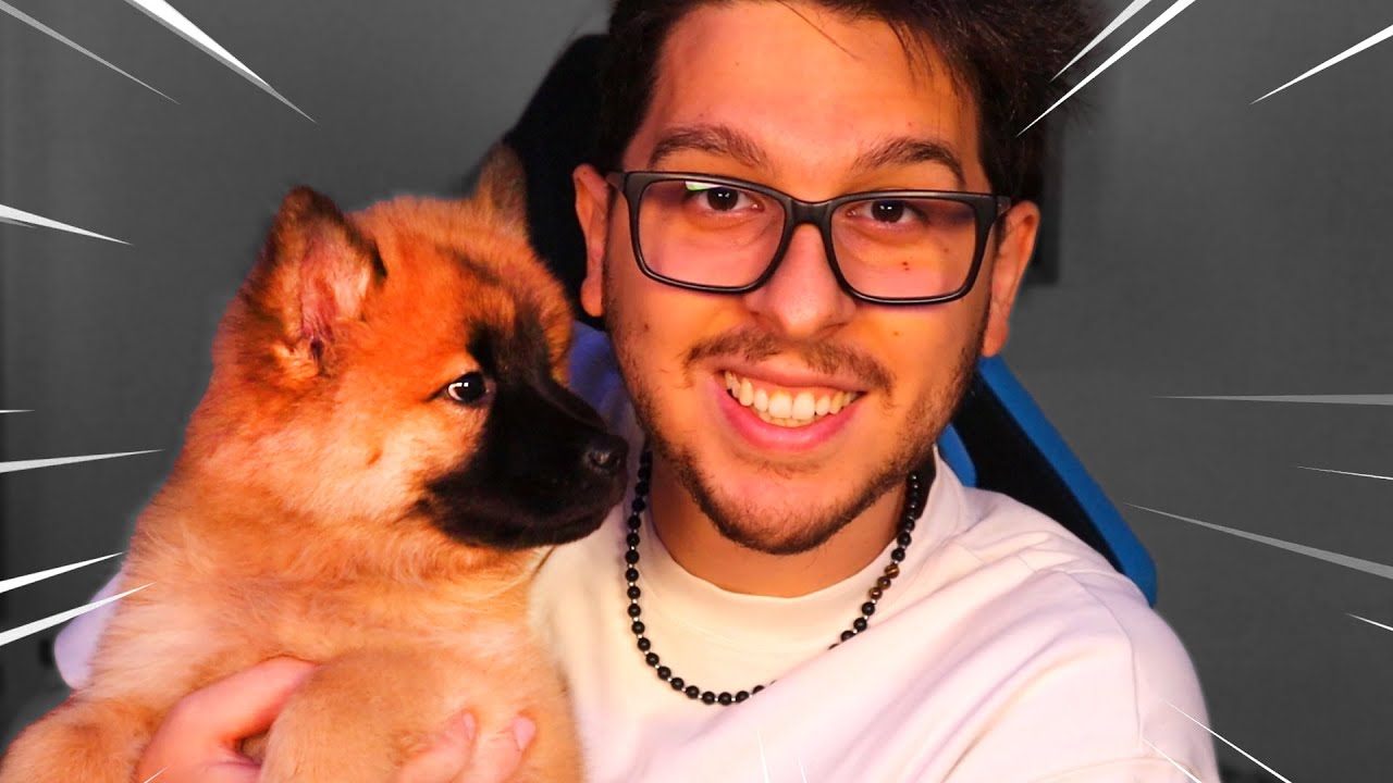 IL MIO PRIMO VIDEO CON CHEDDAR - SUPERMARKET SIMULATOR EP. 18