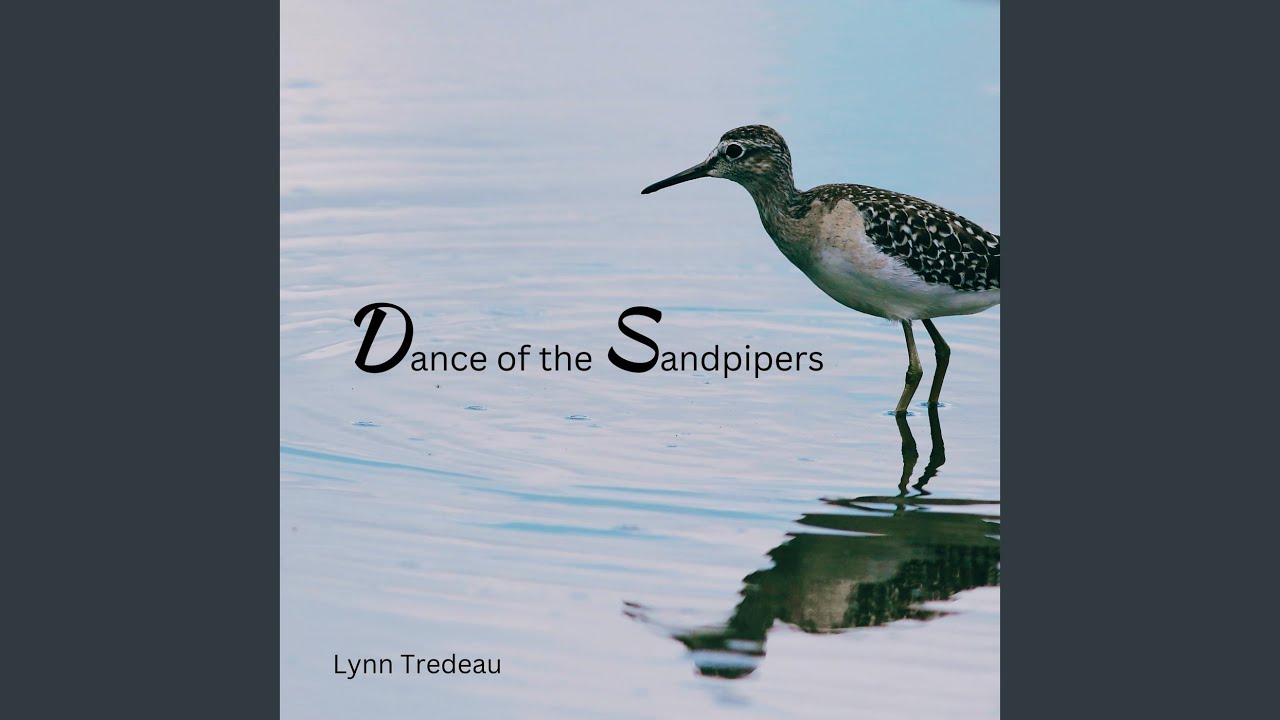 Dance of the Sandpipers