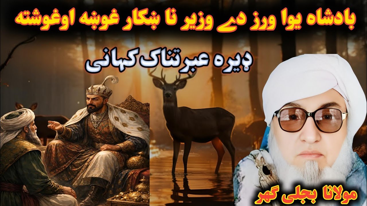 بادشاه یواورزدےوزیر ناښکار غوښه اوغوشته  ډیرہ ښا یسته کھانی
