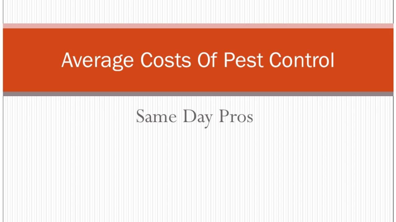 Average Costs Of Pest Control