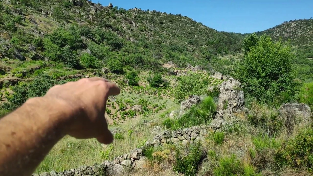 Sotillo, Girón de Niebla, Rico Nuevo, Gredos