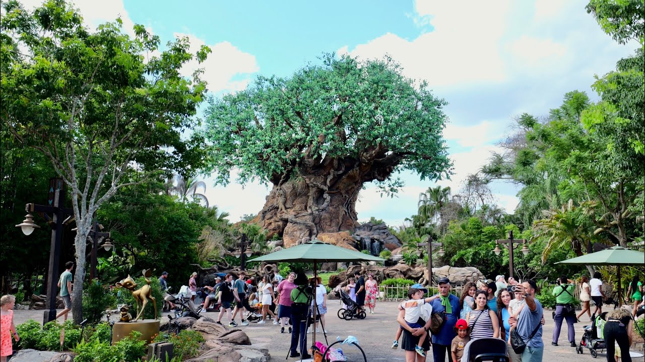 Disney's Animal Kingdom 2026 Long Afternoon Walkthrough Tour in 4K | Walt Disney World June 2026