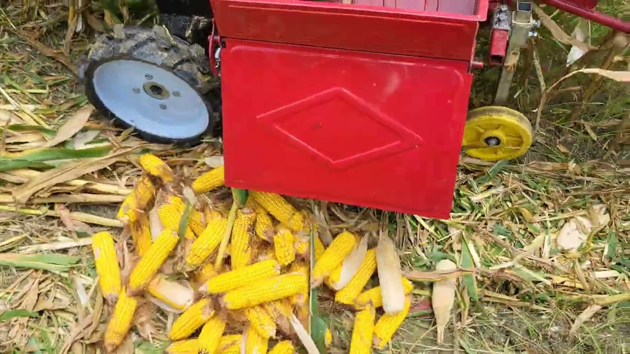 दुनिया का पहली मक्का काटने की मशीन | Maiz Harvestor | Mini Harvestor | Lovely Maiz Harvestor