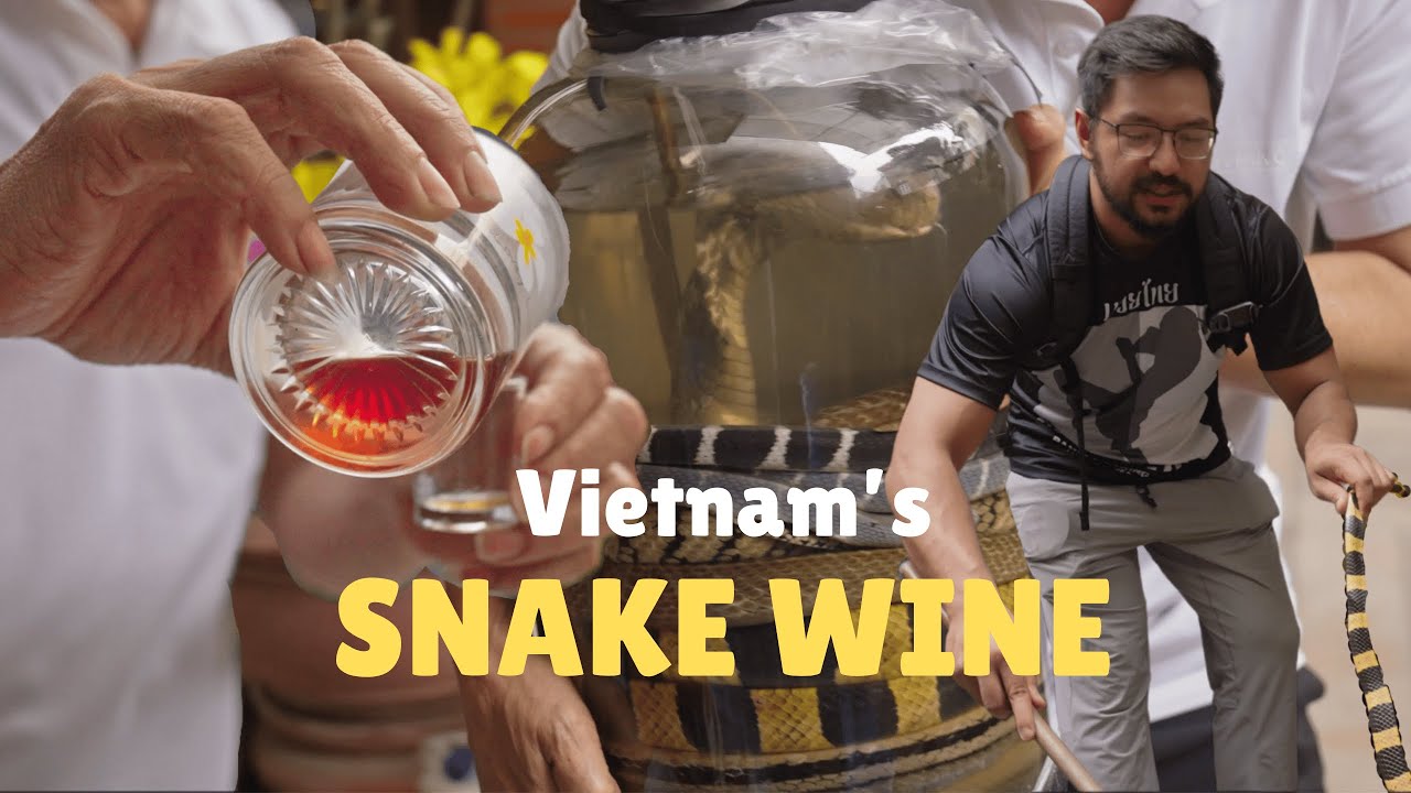 Snake Wine in Vietnam: Cultural Tradition or Extreme Drink?