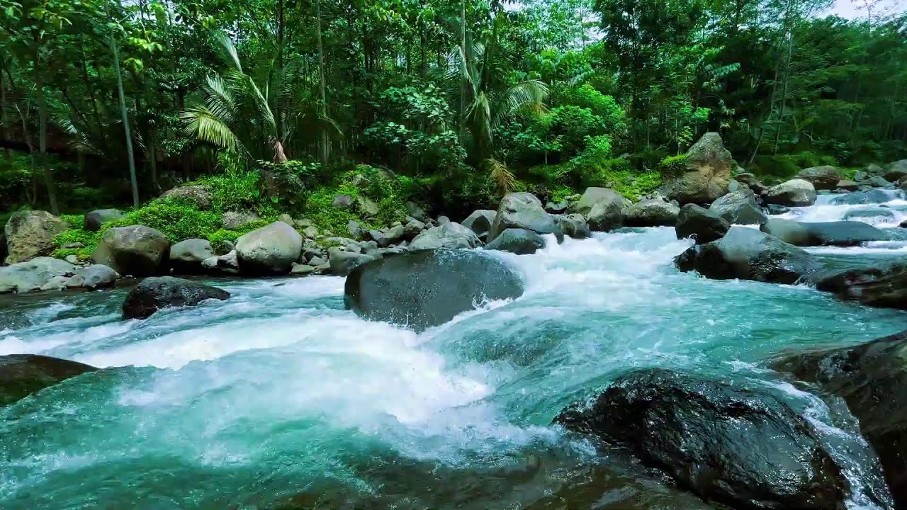Relaxing River Sounds in Lush Green Forest – Nature Ambience for Calm Mind