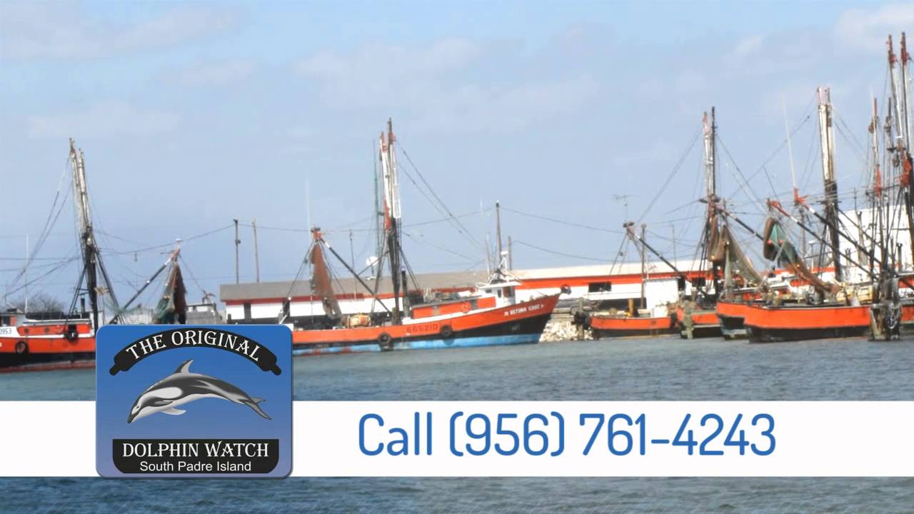 The Original Dolphin Watch Port of Brownsville Tour 2016