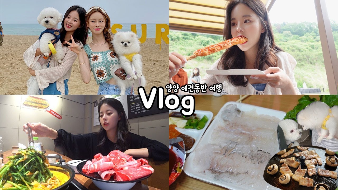 [먹방vlog] 짧고 굵게 1박2일 양양 술먹방여행 가즈아😎 _ 등촌샤브샤브+주문진수산시장+휴게소먹방+서피비치+바베큐+마트장+만취ㅋㅋ