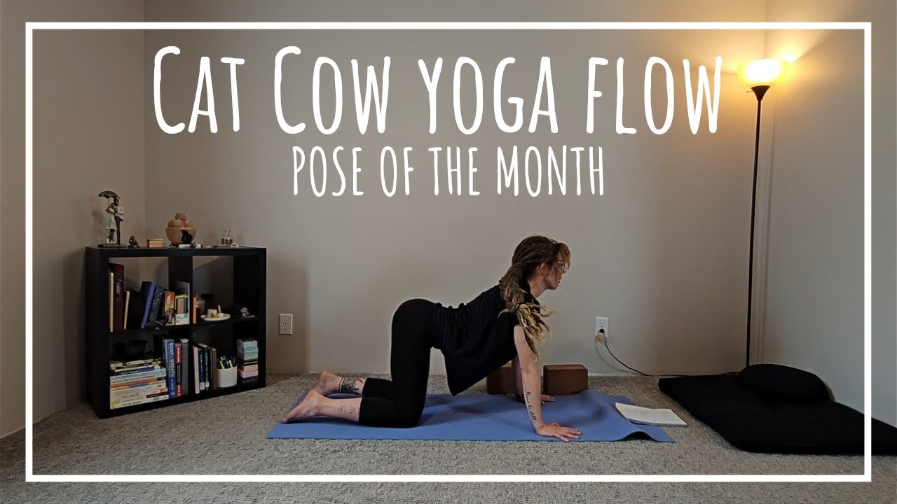 Cat Cow Yoga Flow | #PoseoftheMonth