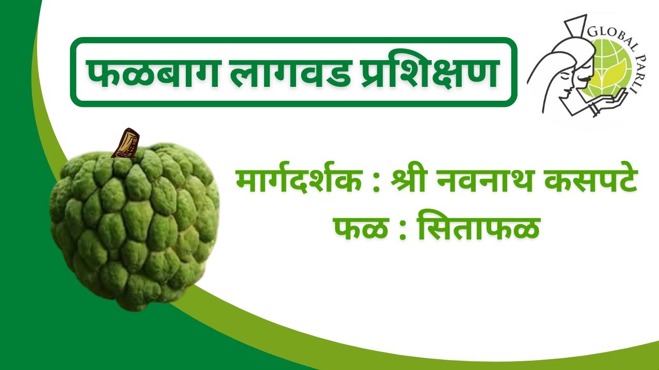 Global Parli's Sitaphal Plantation Webinar by Dr. Navnath Kaspate