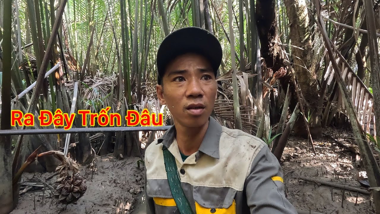 MỚI BƯỚC CHÂN VÀO RỪNG CẢM THẤY ĐIỀU GÌ ĐÓ BẤT ỔN KHÔNG BIẾT VUI HAY BUỒN