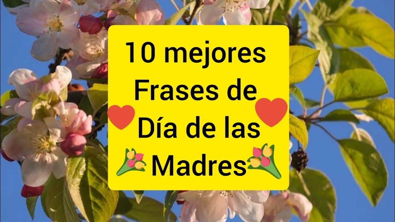 Frases lindas para el d&iacute;a de la madre &hearts;️ Frases 10 de mayo🌹im&aacute;genes 2020