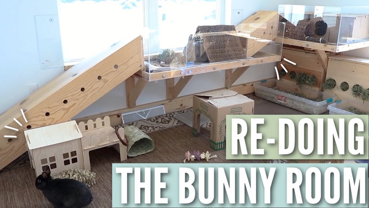 Fully RE-DOING the Bunny Room!