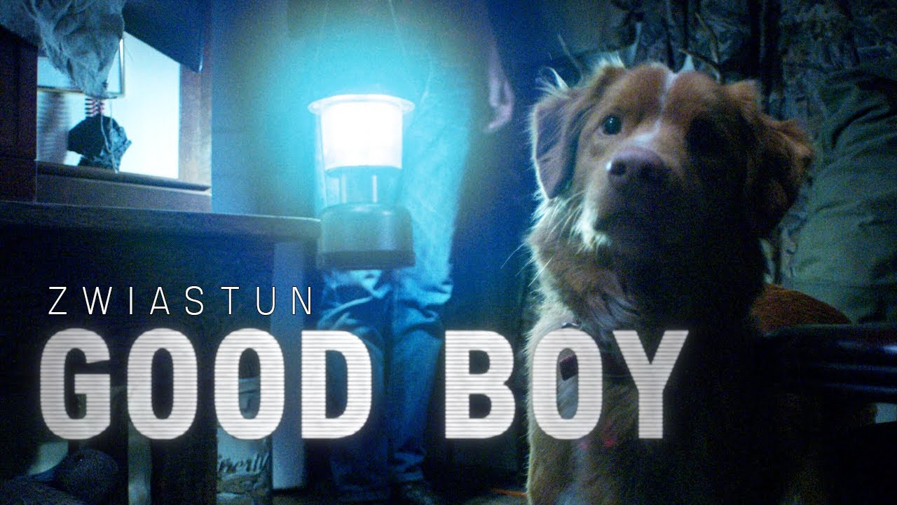Good Boy - Zwiastun PL (Official Trailer)