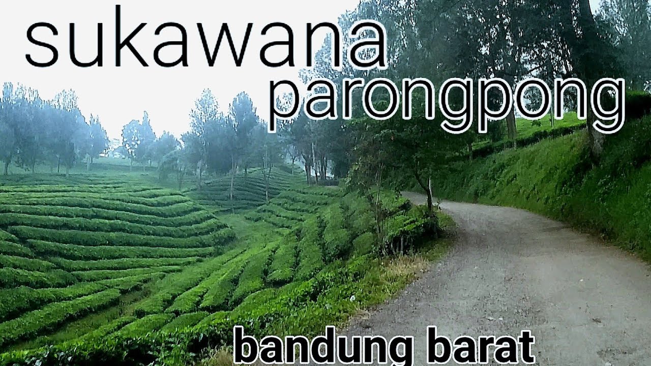Kondisi jalur menuju trek 11 sukawana via patrol !! kawasan bandung barat !!