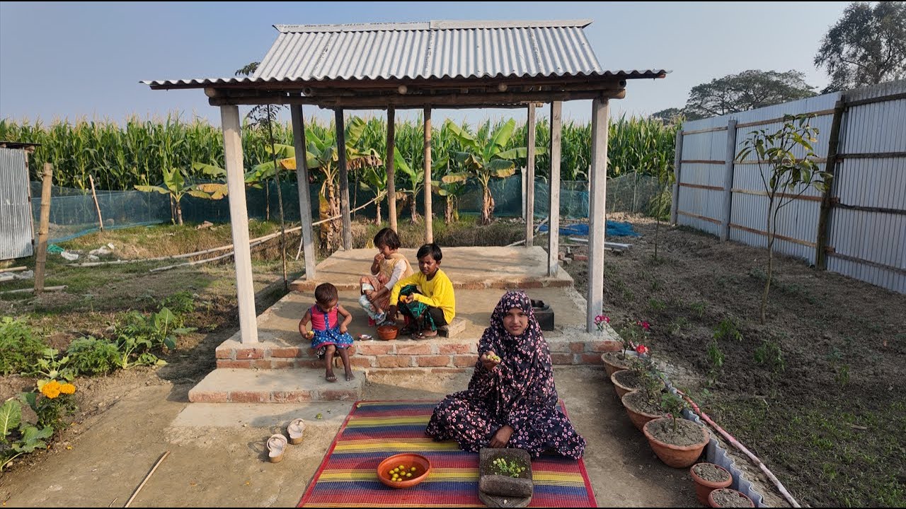 আজকে সবাই মিলে মজা করে বড়ই ভর্তা খেলাম । village life with jui