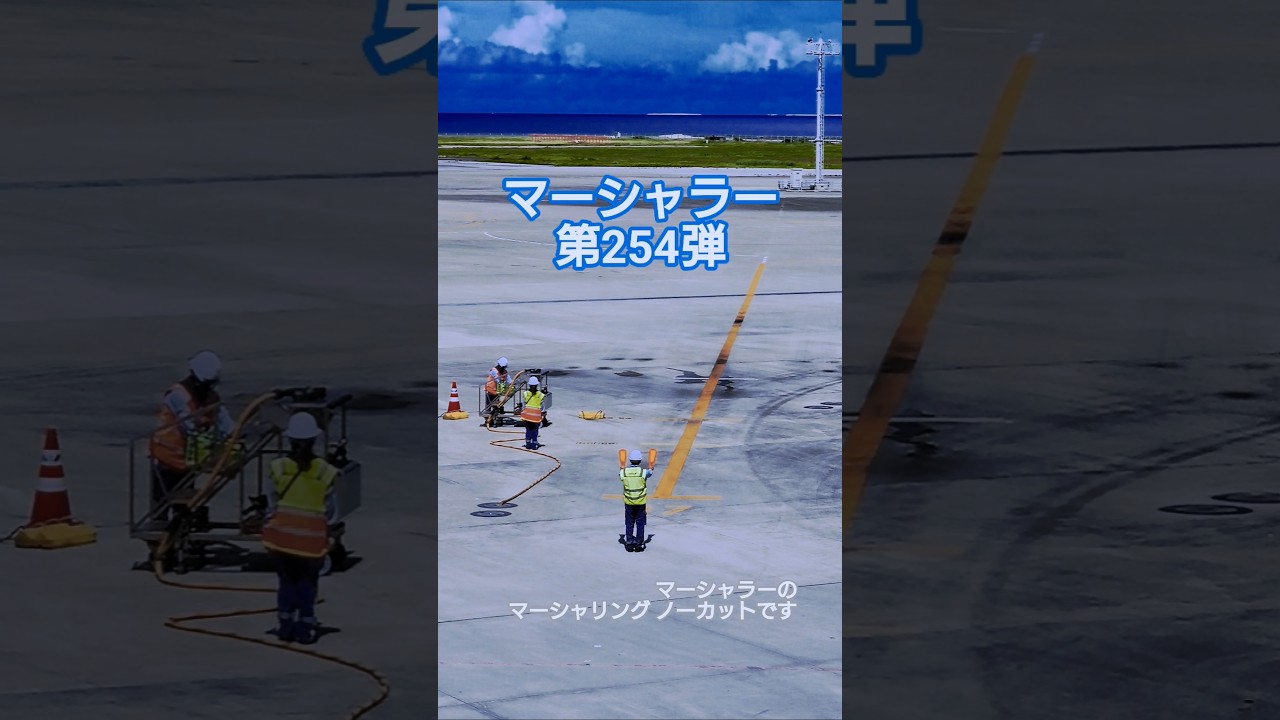 【マーシャラー・第254弾】ANA Boeing737-881がスポットイン！マーシャラーのマーシャリングと前輪タイヤにチョークを嚙ませるところです！いつもグランドハンドリングありがとうございます！