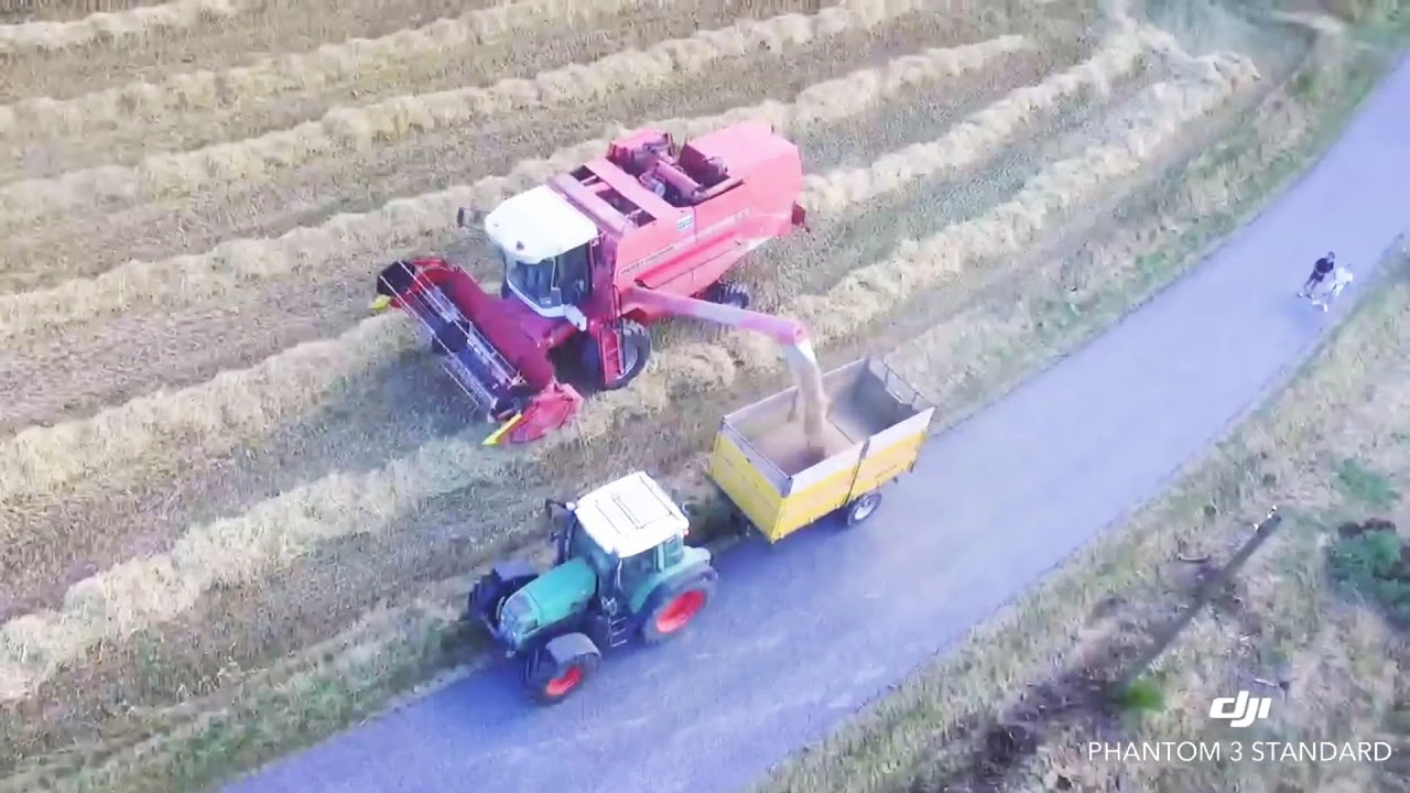Vol en drone au dessus du moissonneuse