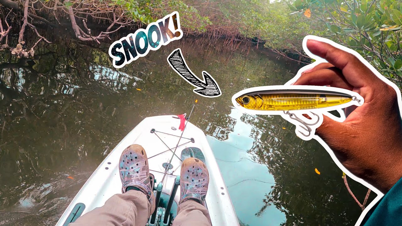 THROWING TOPWATER FOR SNOOKS!