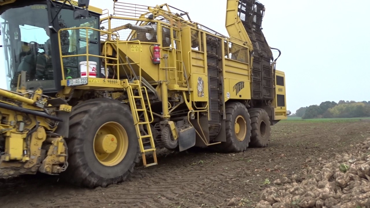 Rübenernte 2016 Ropa Eurotiger   3/3
