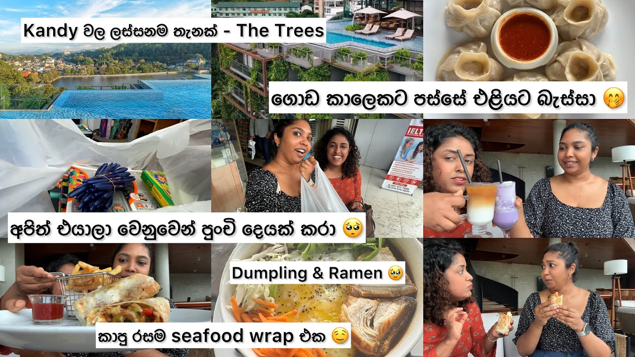 The Trees Hotel Kandy | Rooftop pool View & the Best Seafood Wrap