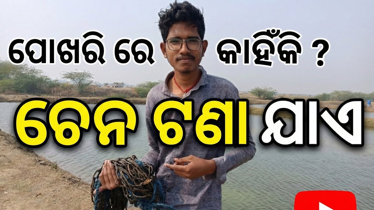 ପୋଖରୀରେ ଚେନ୍ କାହିଁକି ଟଣାଯାଏ? ୯୦% ଲୋକ ଏହାର କାରଣ ଜାଣିନାହାନ୍ତି! 😱