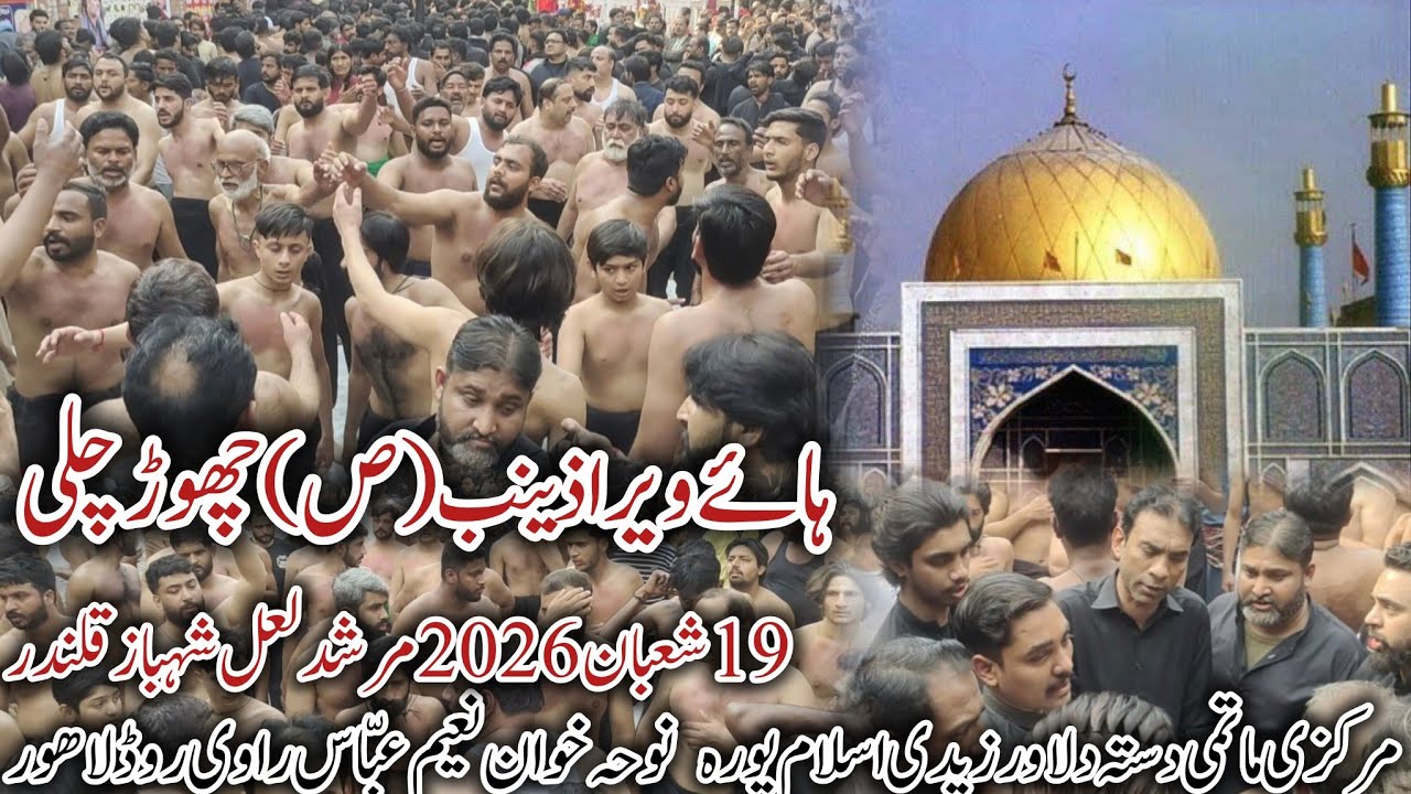 Haye Veera Zainab Chor  |19 Shaban 2026 | Naeem Abbas |marqazi Matami Dasta Dilawer Zaidi Islampura