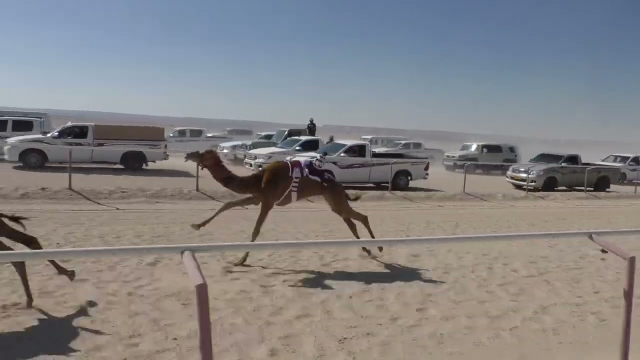 أمسية ل فيصل بن بطي الجنيبي
