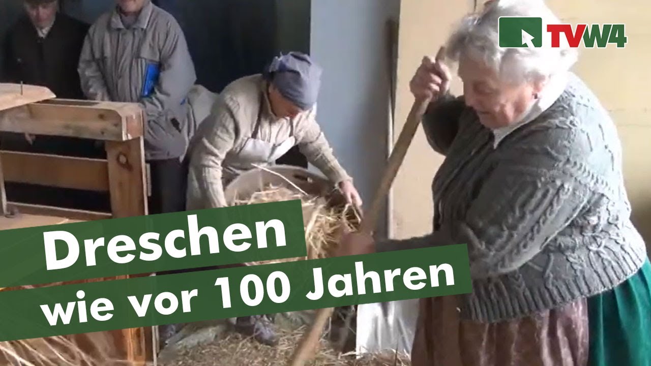 Dreschen wie vor über 100 Jahren