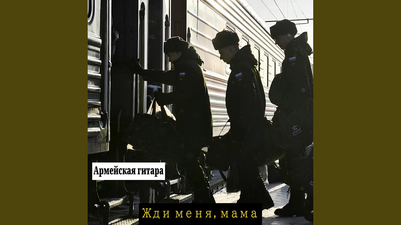 Тебе бы в руки мой автомат
