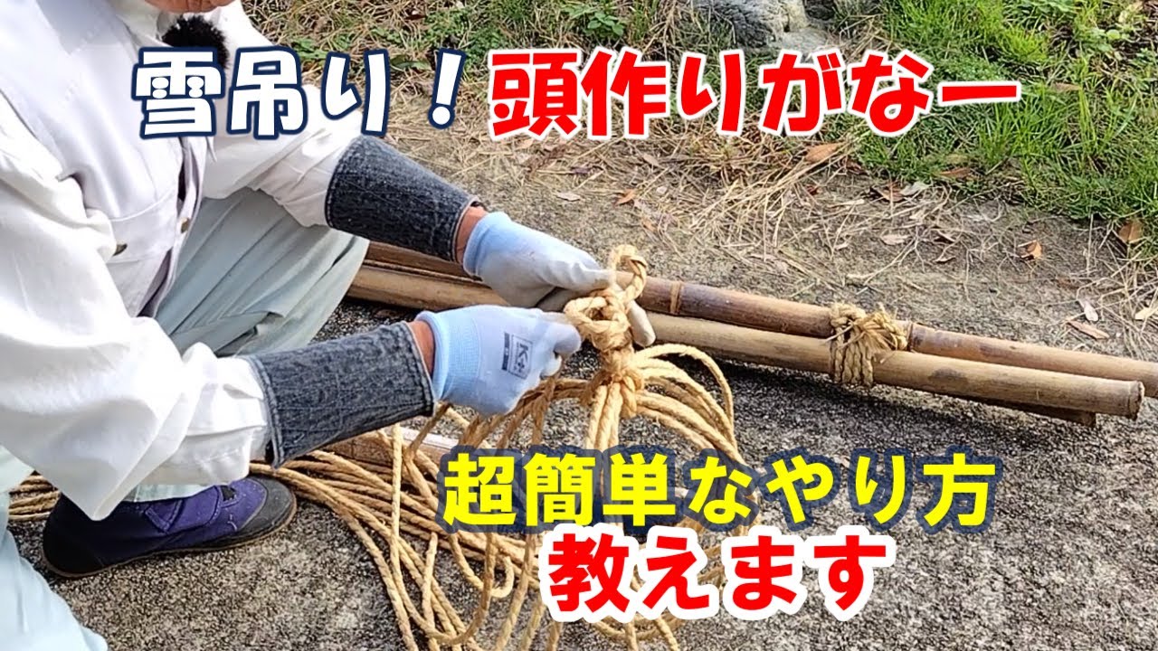 【雪吊りダイジェスト】庭木の冬支度ポイント