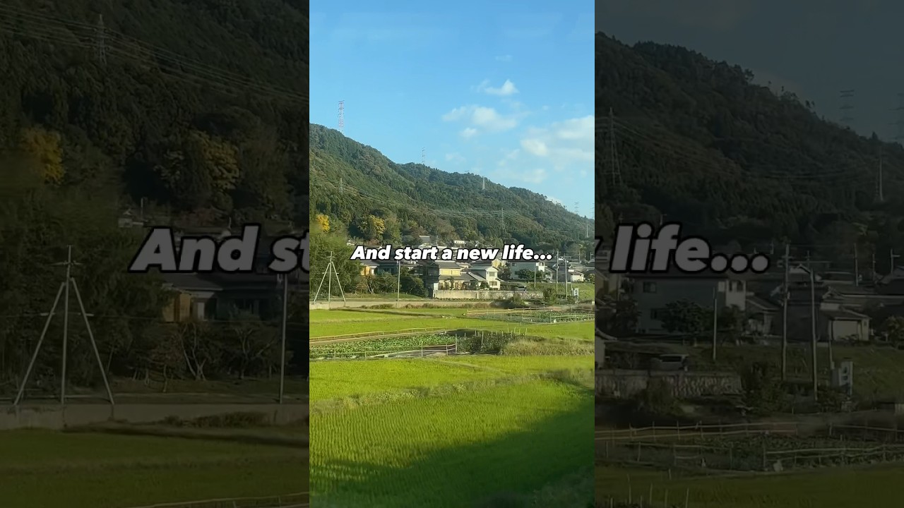 Why I Moved to Japan? #japan #japanlife #foreignerinjapan #gaijin