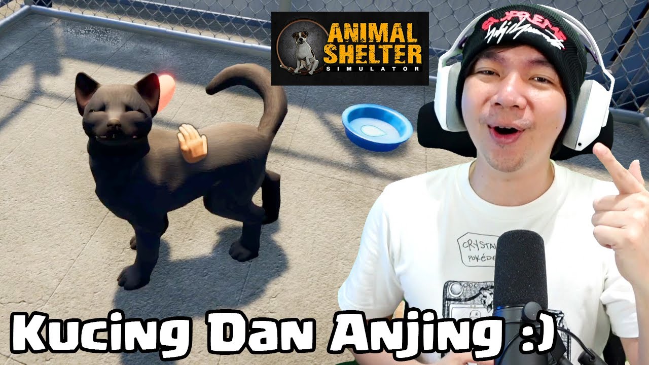 Penampungan Kucing Dan Anjing - Animal Shelter Simulator Indonesia