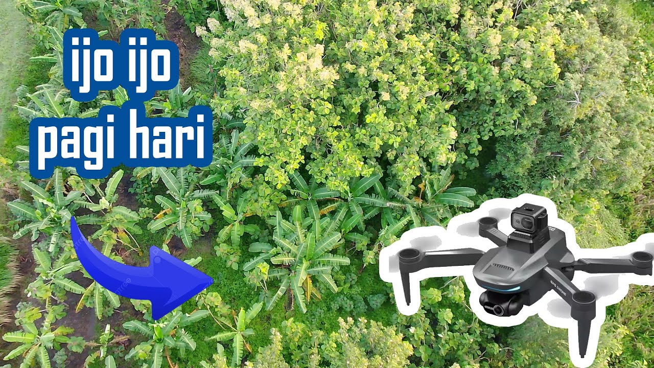 Terbang dekat rumah dan kebun yang ijo ijo pakai Drone LYZRC L200 Pro Max