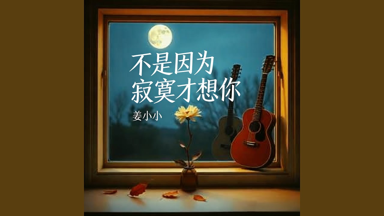 不是因为寂寞才想你 (弹唱女声版)
