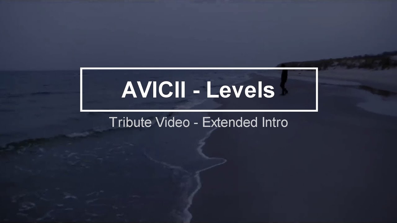 Avicii - Levels (Extended Intro - Tribute Video)