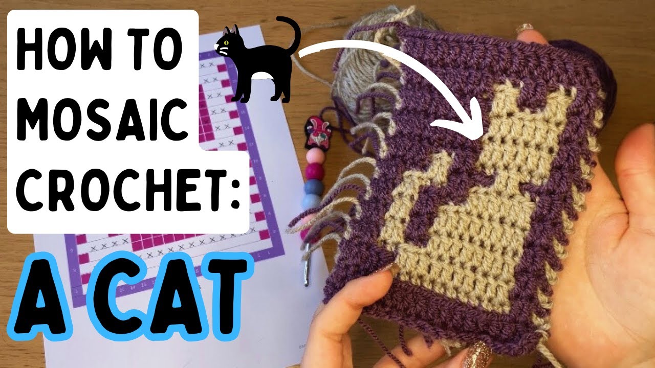 How To Mosaic Crochet A Cat | Beginner Friendly Crochet Tutorial